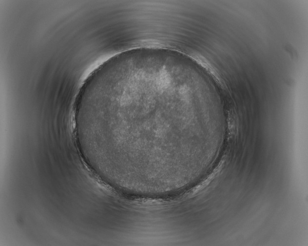 X0000113111070200909181623