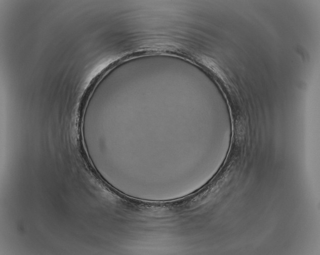 X0000113111071200909181623