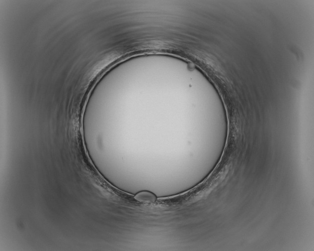 X0000113111073200909181623