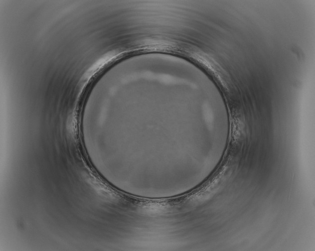 X0000113111074200909181623