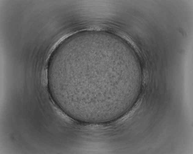 X0000113111075200909181623