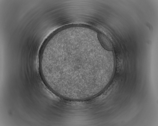 X0000113111076200909181623