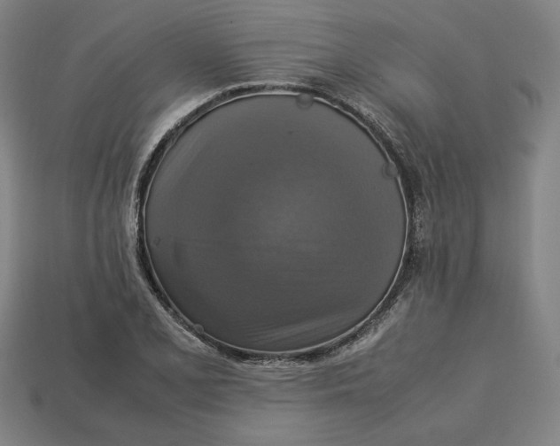 X0000113111077200909181623