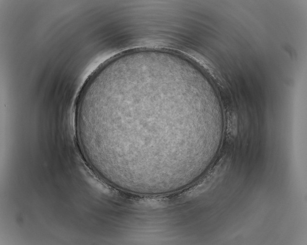 X0000113111078200909181623