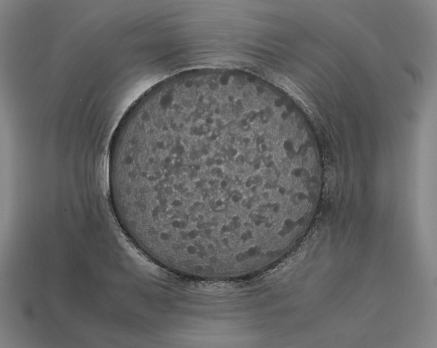 X0000113111079200909181623