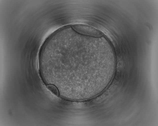 X0000113111080200909181623