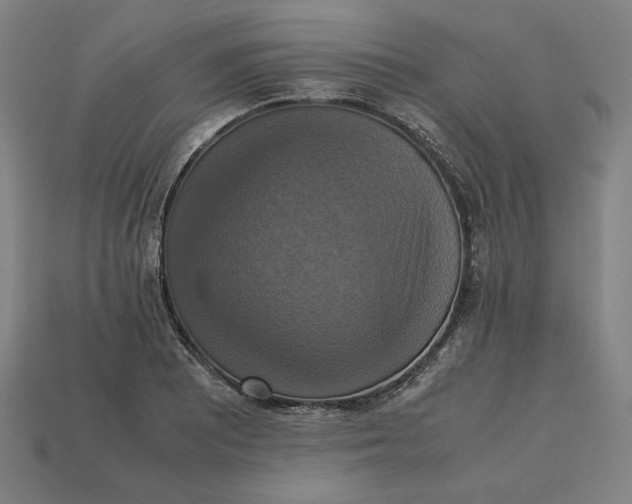 X0000113111081200909181623