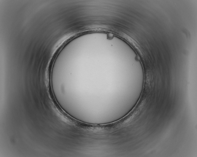 X0000113111082200909181623