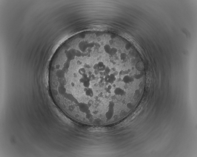 X0000113111083200909181623