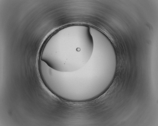 X0000113111084200909181623