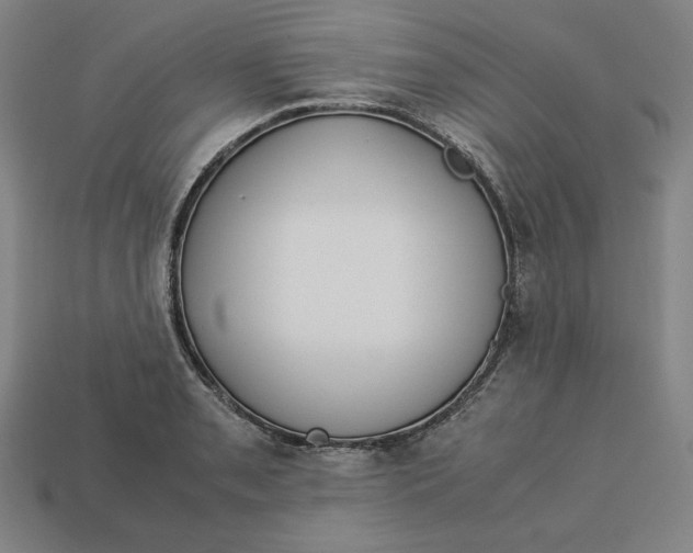 X0000113111085200909181623