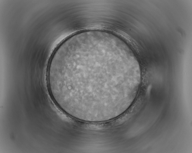 X0000113111086200909181623