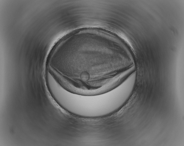 X0000113111088200909181623