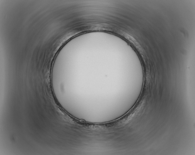 X0000113111089200909181623