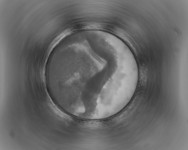 X0000113111090200909181623