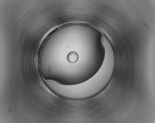 X0000113111092200909181623