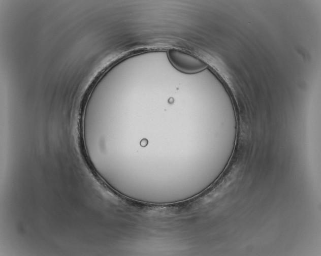 X0000113111093200909181623