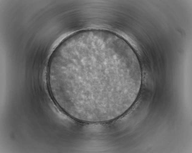 X0000113111094200909181623