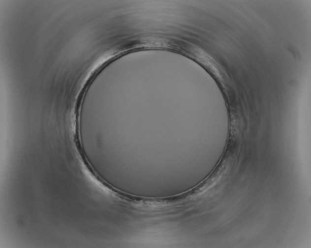 X0000113111095200909181623