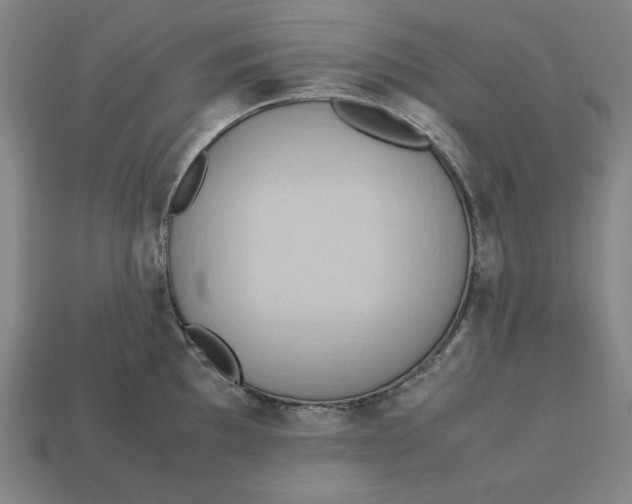 X0000113111097200909181623