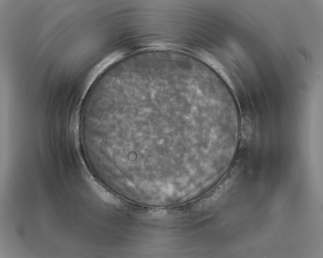 X0000113111098200909181623