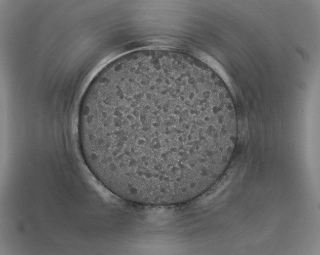 X0000113111099200909181623