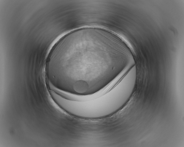 X0000113111100200909181623