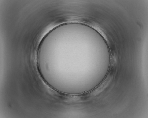 X0000113111101200909181623