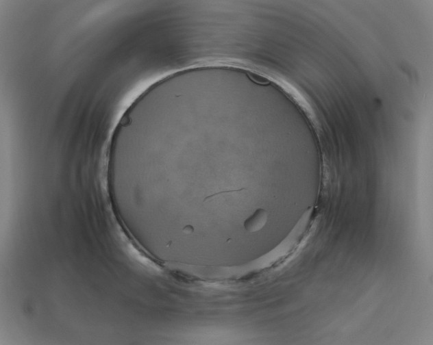 X0000113111102200909181623