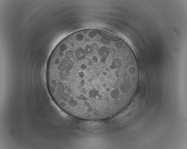X0000113111103200909181623