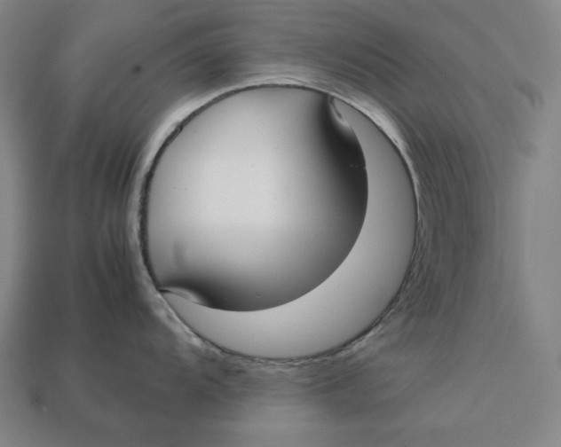 X0000113111104200909181623