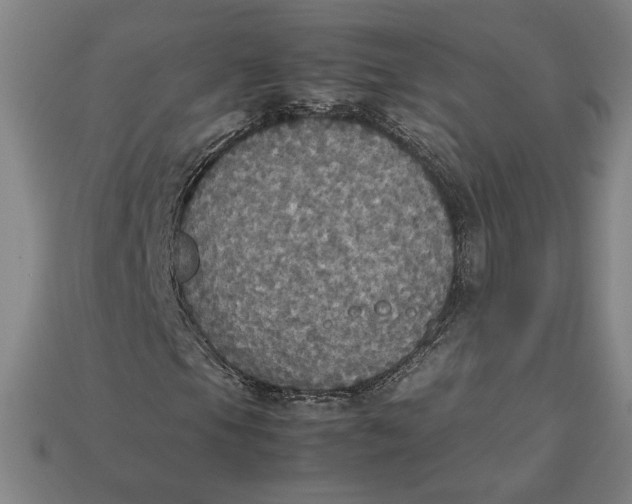 X0000113111105200909181622