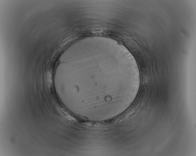 X0000113111106200909181622
