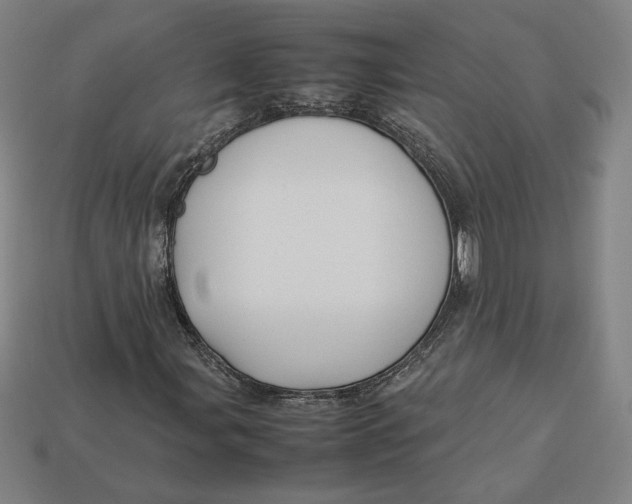 X0000113111107200909181622
