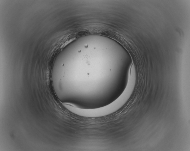 X0000113111108200909181622