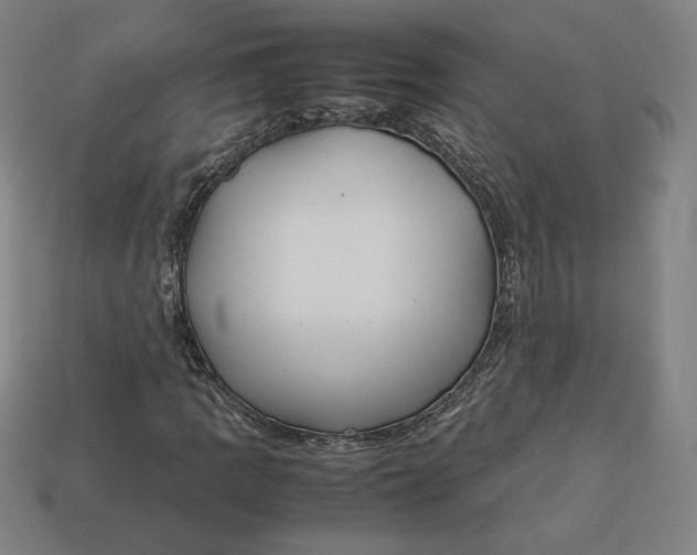 X0000113111109200909181622