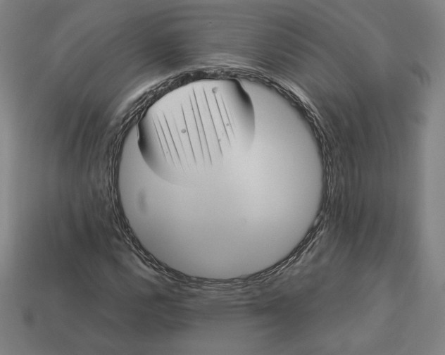 X0000113111112200909181622