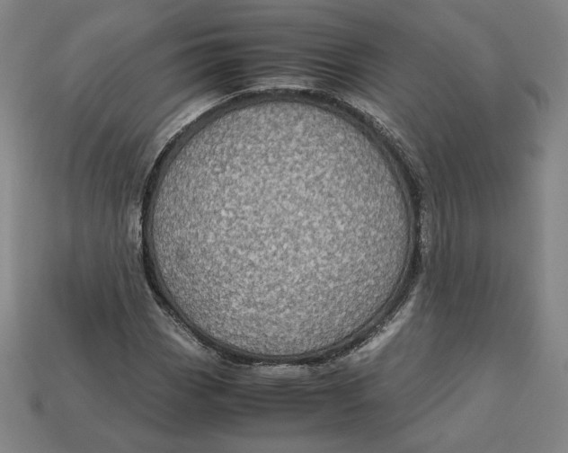 X0000113111113200909181622