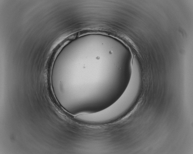 X0000113111114200909181622