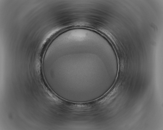 X0000113111115200909181622