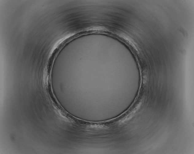 X0000113111117200909181622