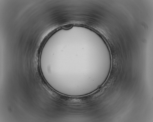X0000113111119200909181622
