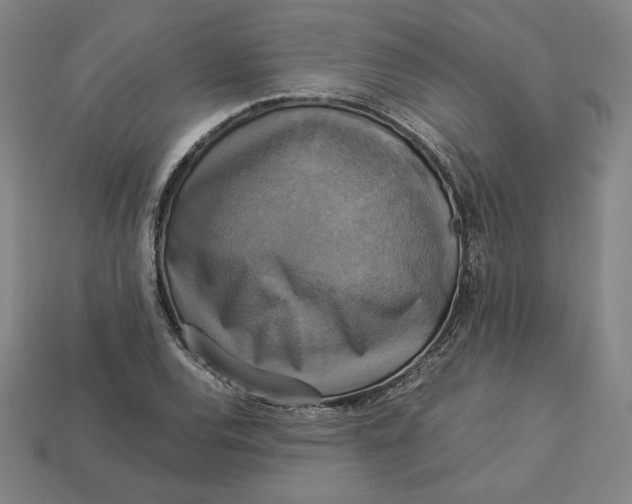 X0000113111120200909181622