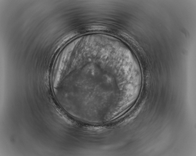 X0000113111121200909181622
