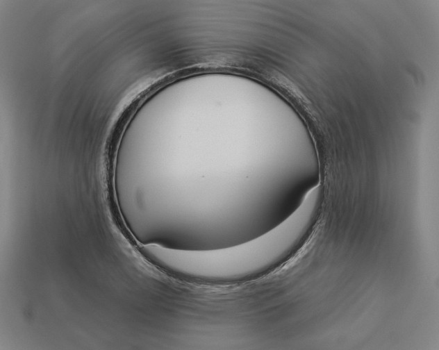 X0000113111122200909181622