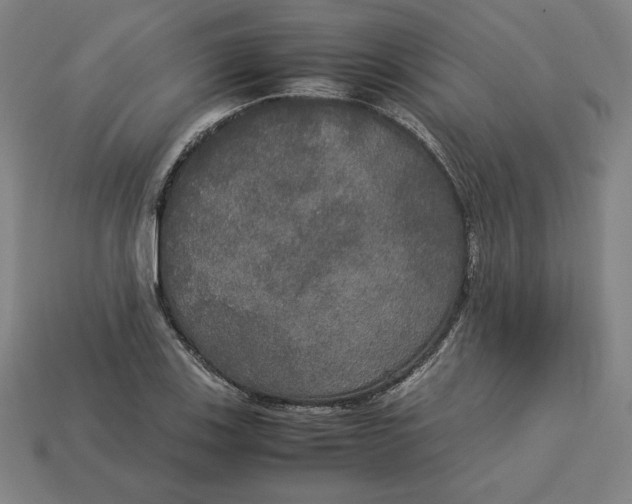 X0000113111123200909181622