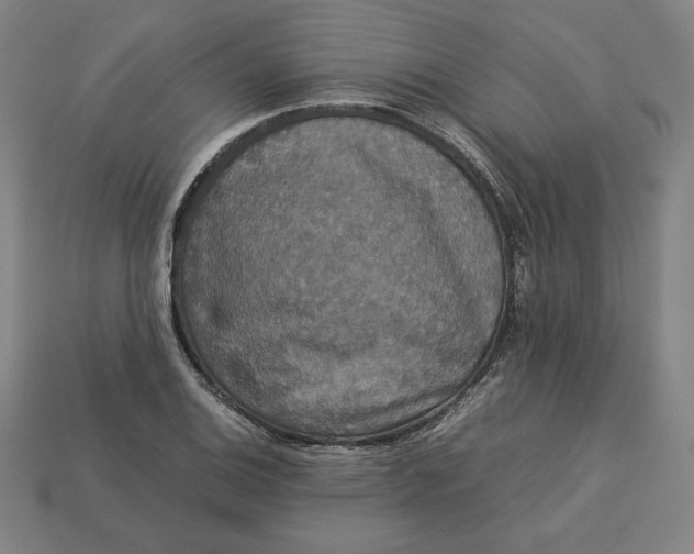 X0000113111124200909181622