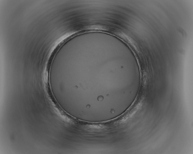 X0000113111125200909181622