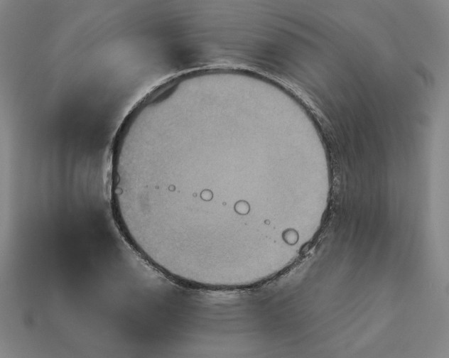 X0000113111126200909181622