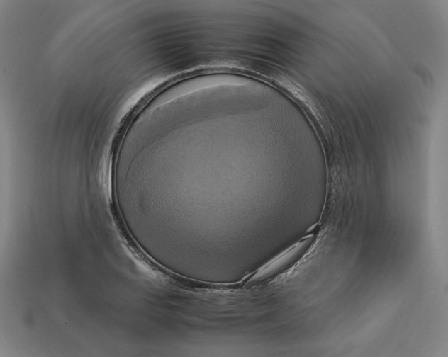 X0000113111127200909181622